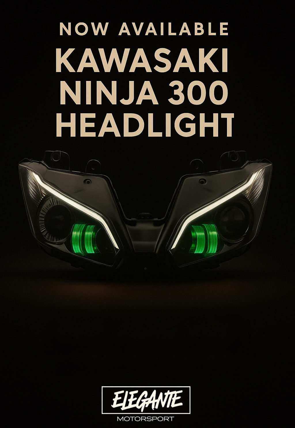 Kawasaki Ninja 300 headlight